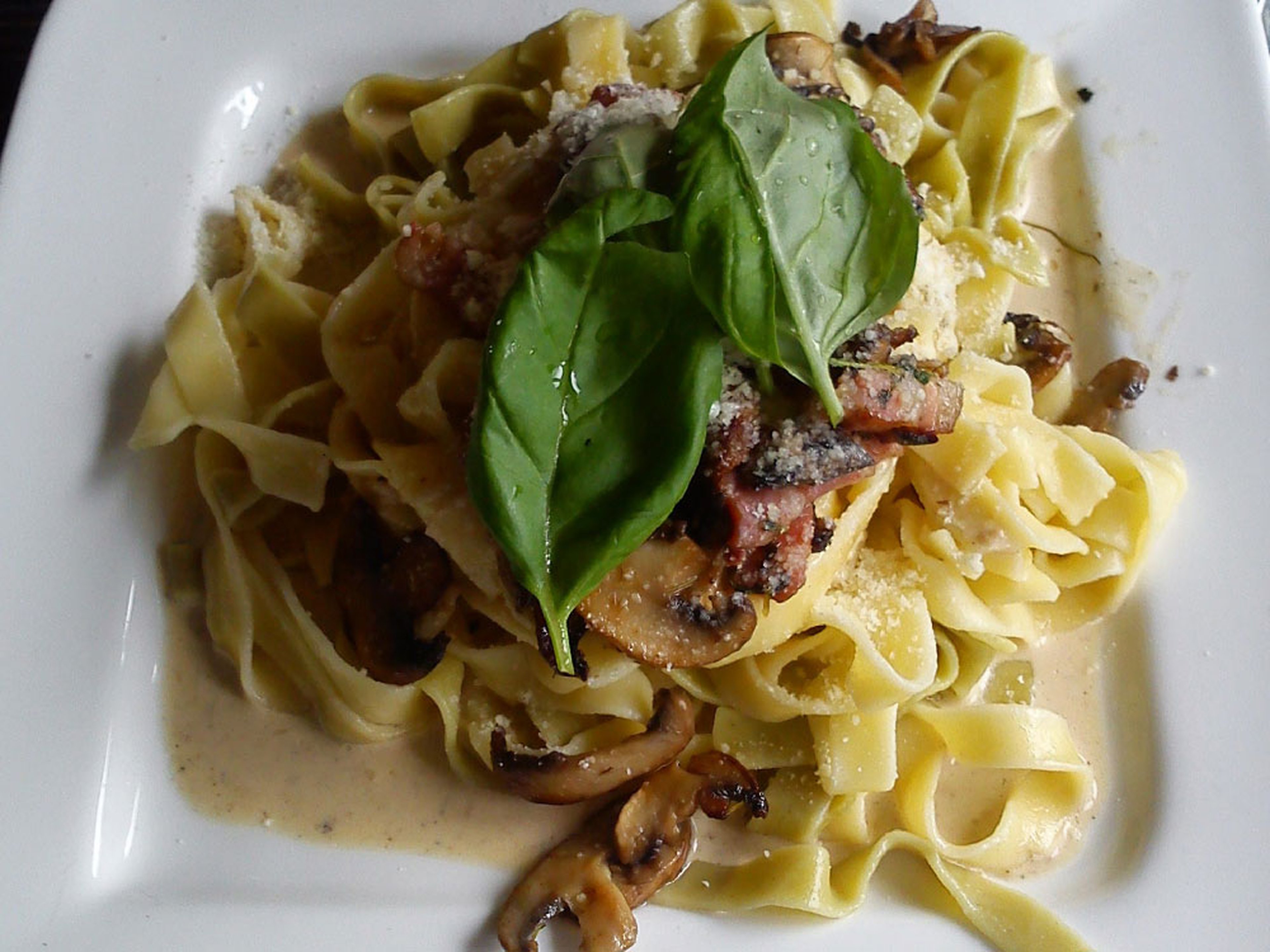 Tagliatelle with creamy mushroom sauce