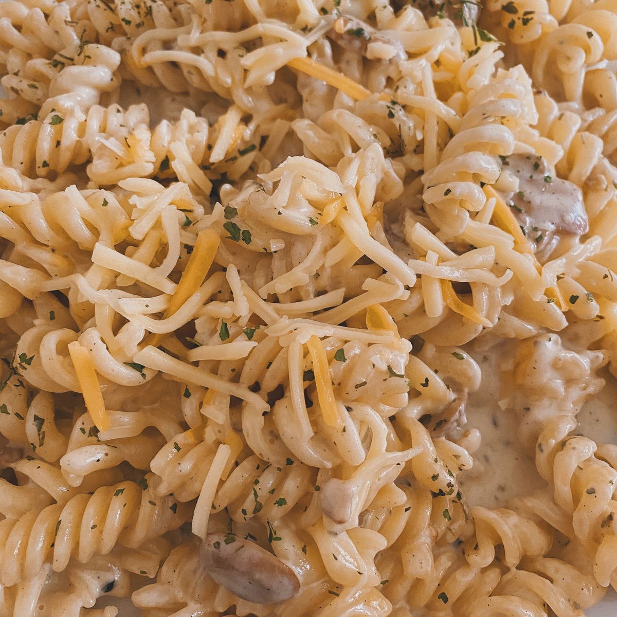 Pasta with mushrooms | Recipe | Kitchen Stories