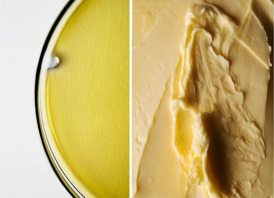 No to Butter, Yes to Plant-Based Oils: New Study Reveals How to Extend Your Life