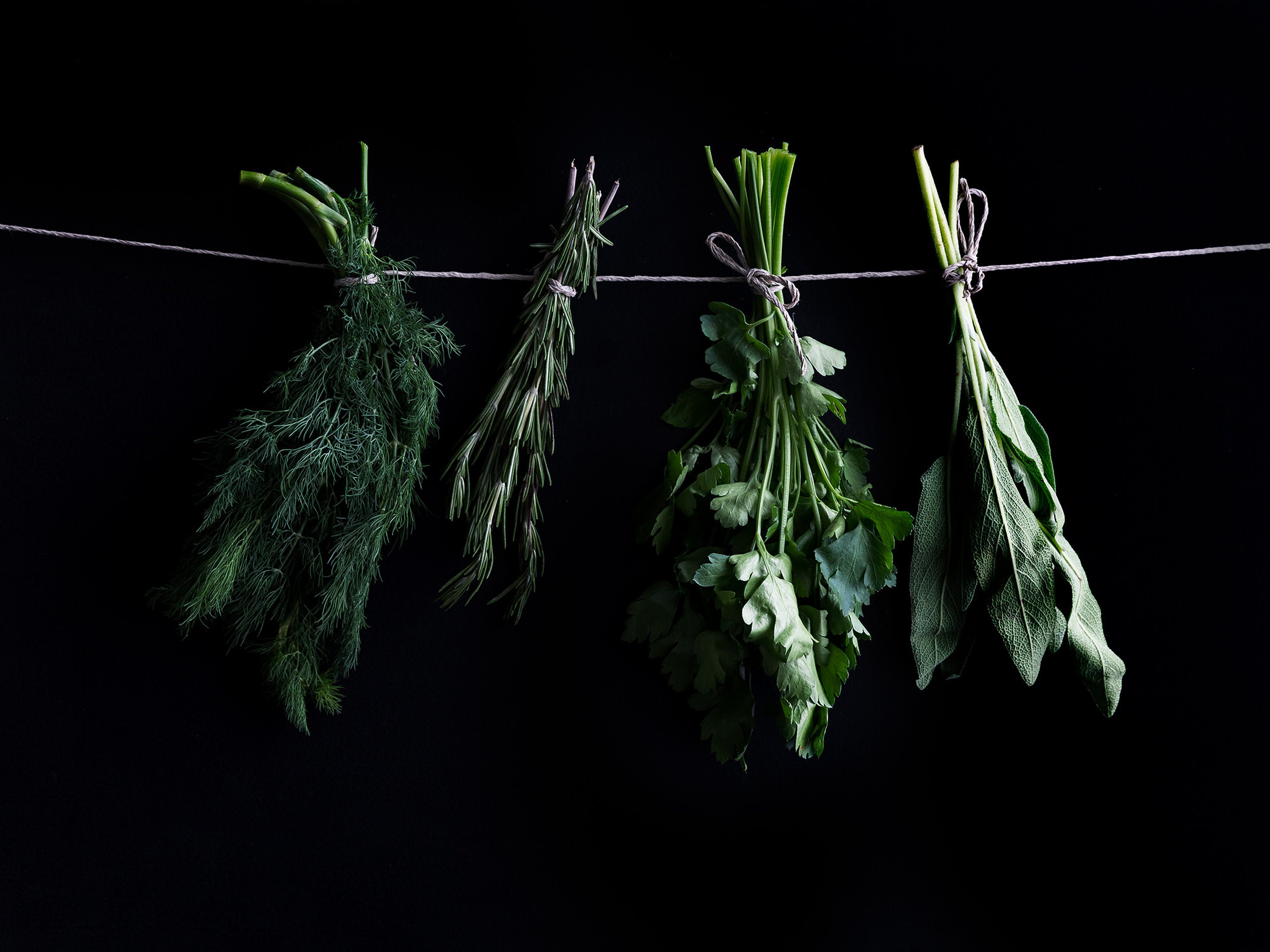 You Can Make Fresh Herbs Last Longer