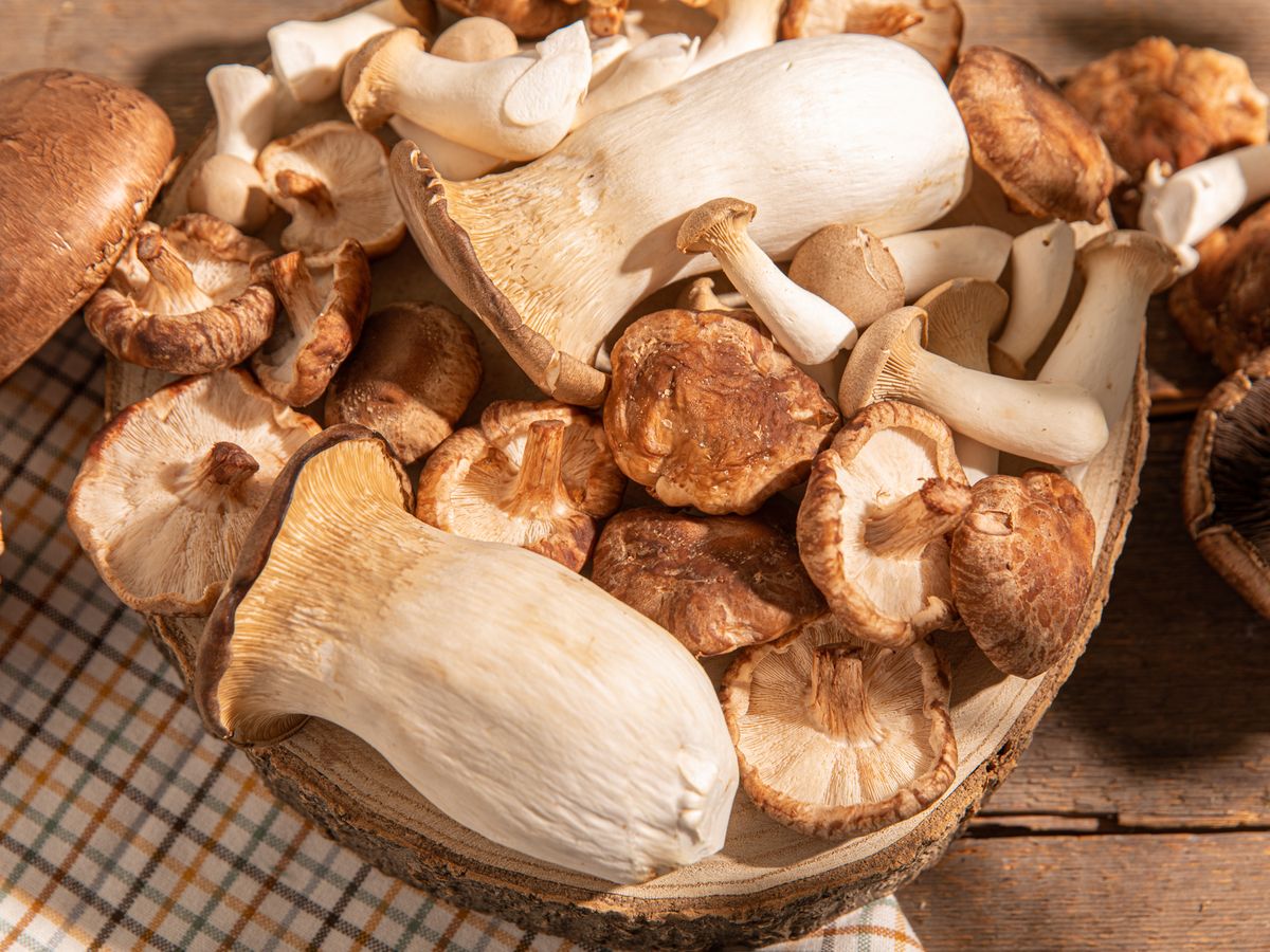 Pilze als Fleischersatz Shiitake, Kräuterseitling, Portobello und Co. Stories Kitchen Stories