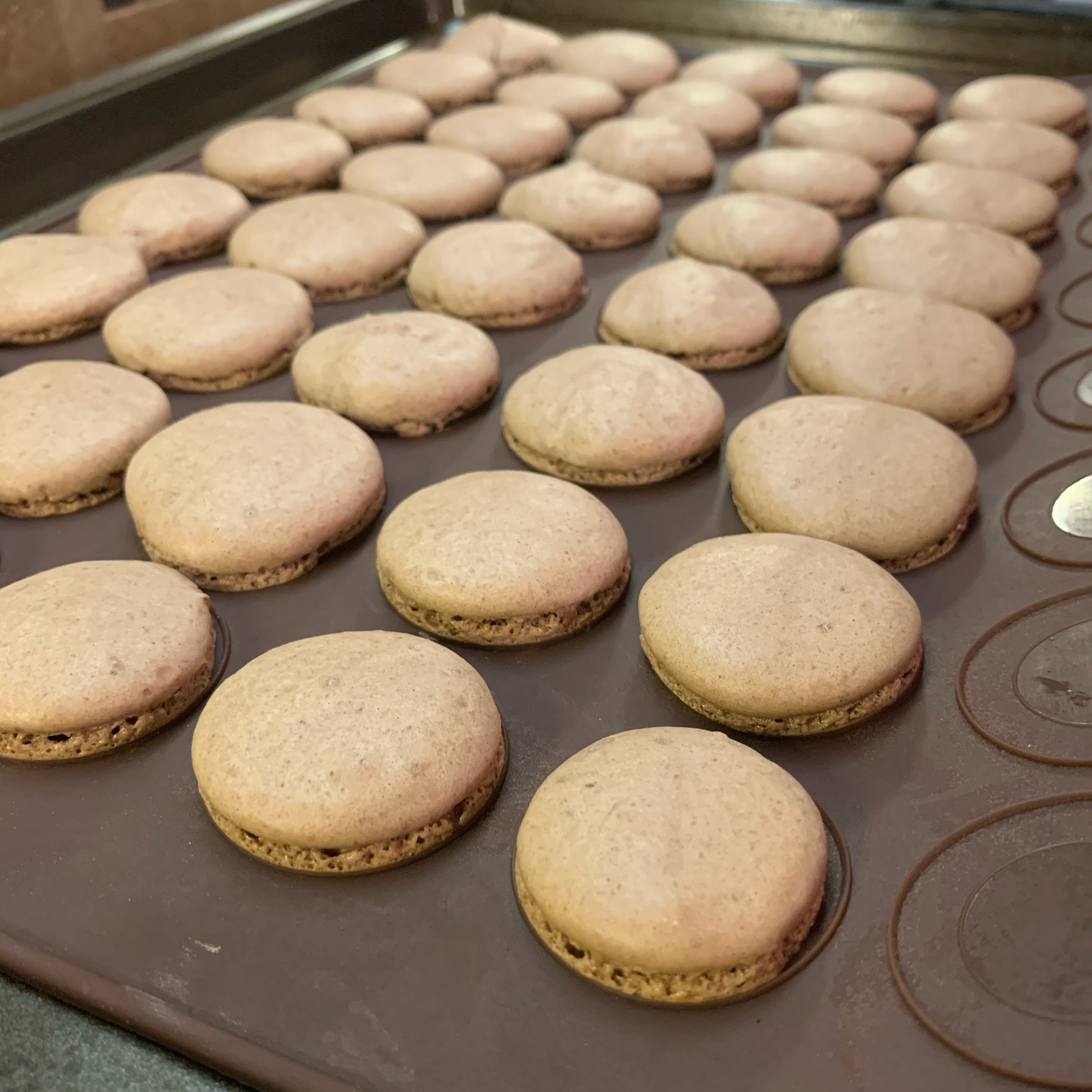 Chocolate Macarons