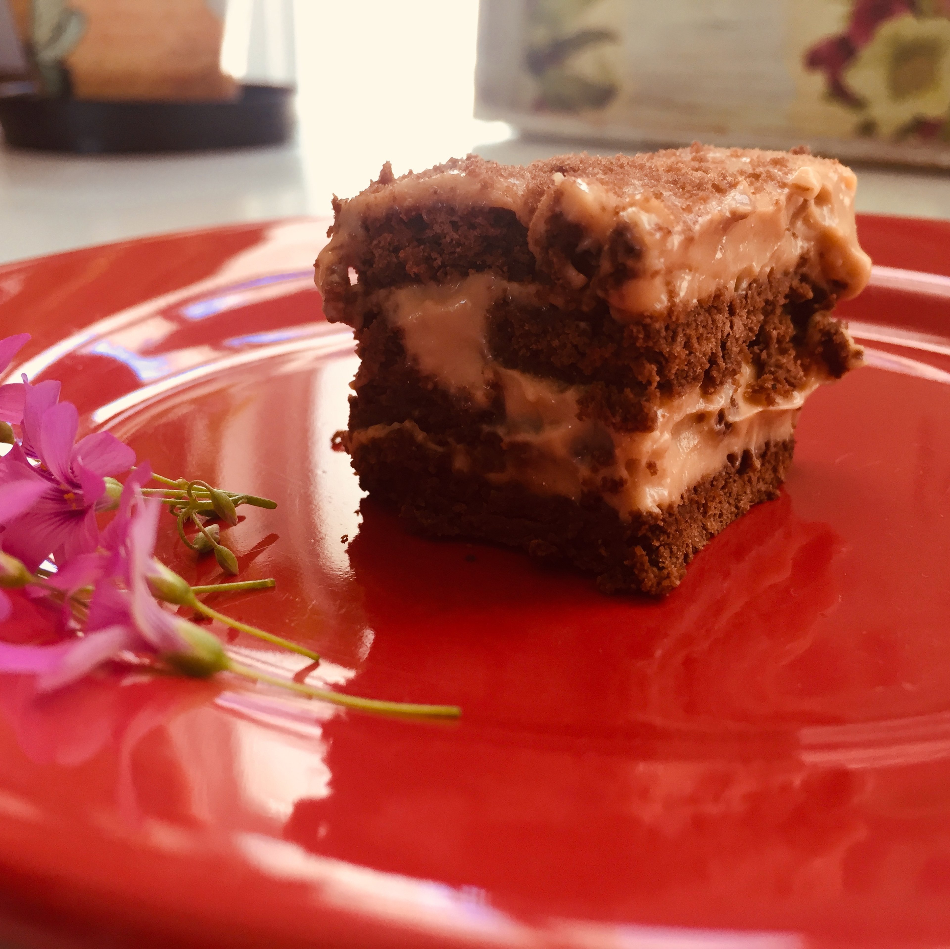 Easy Chocotorta (no bake chocolate cake!)