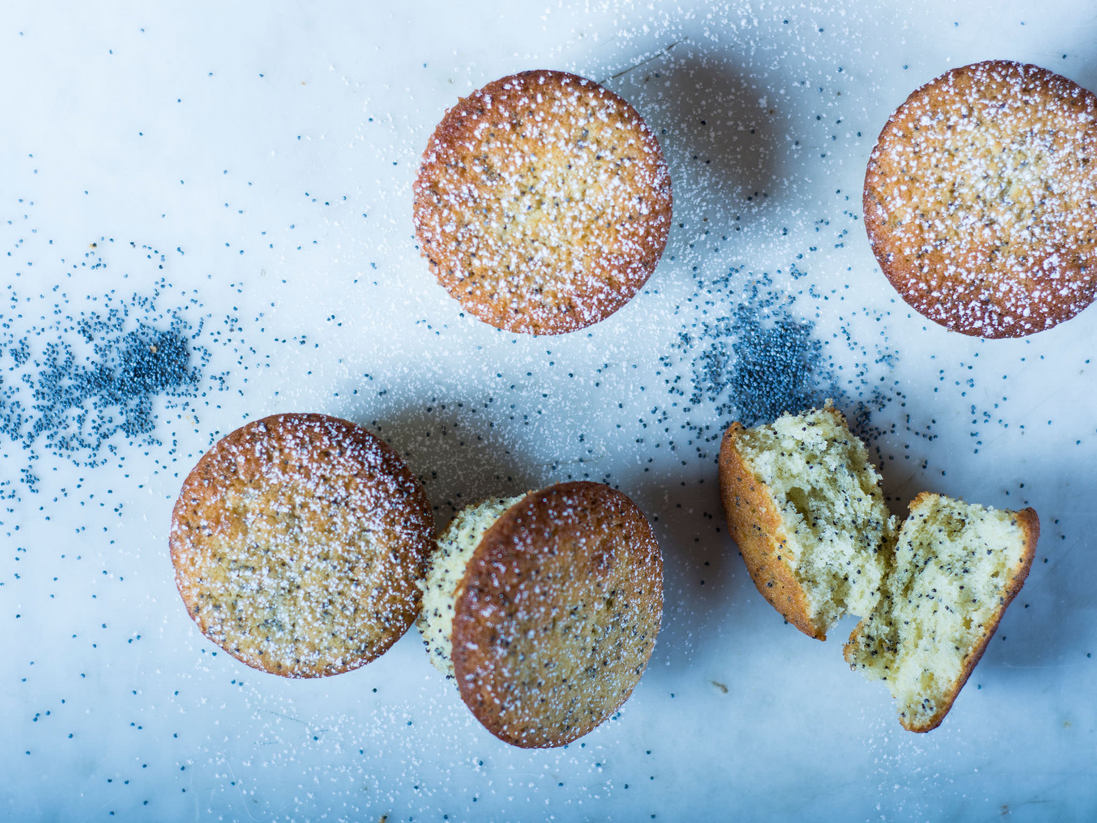 Simple lemon poppy seed muffins