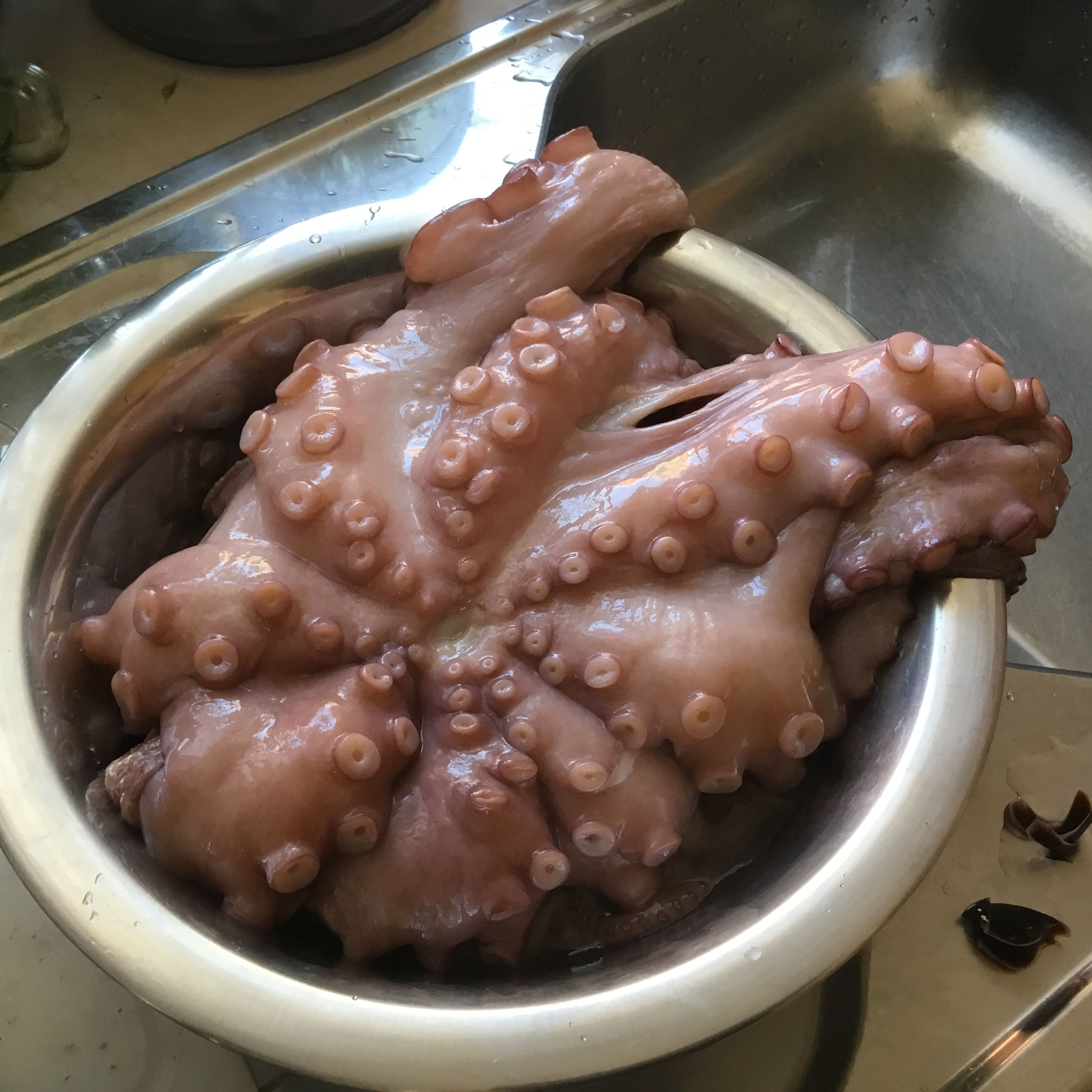 Den entgültig fertigen Octopus ...