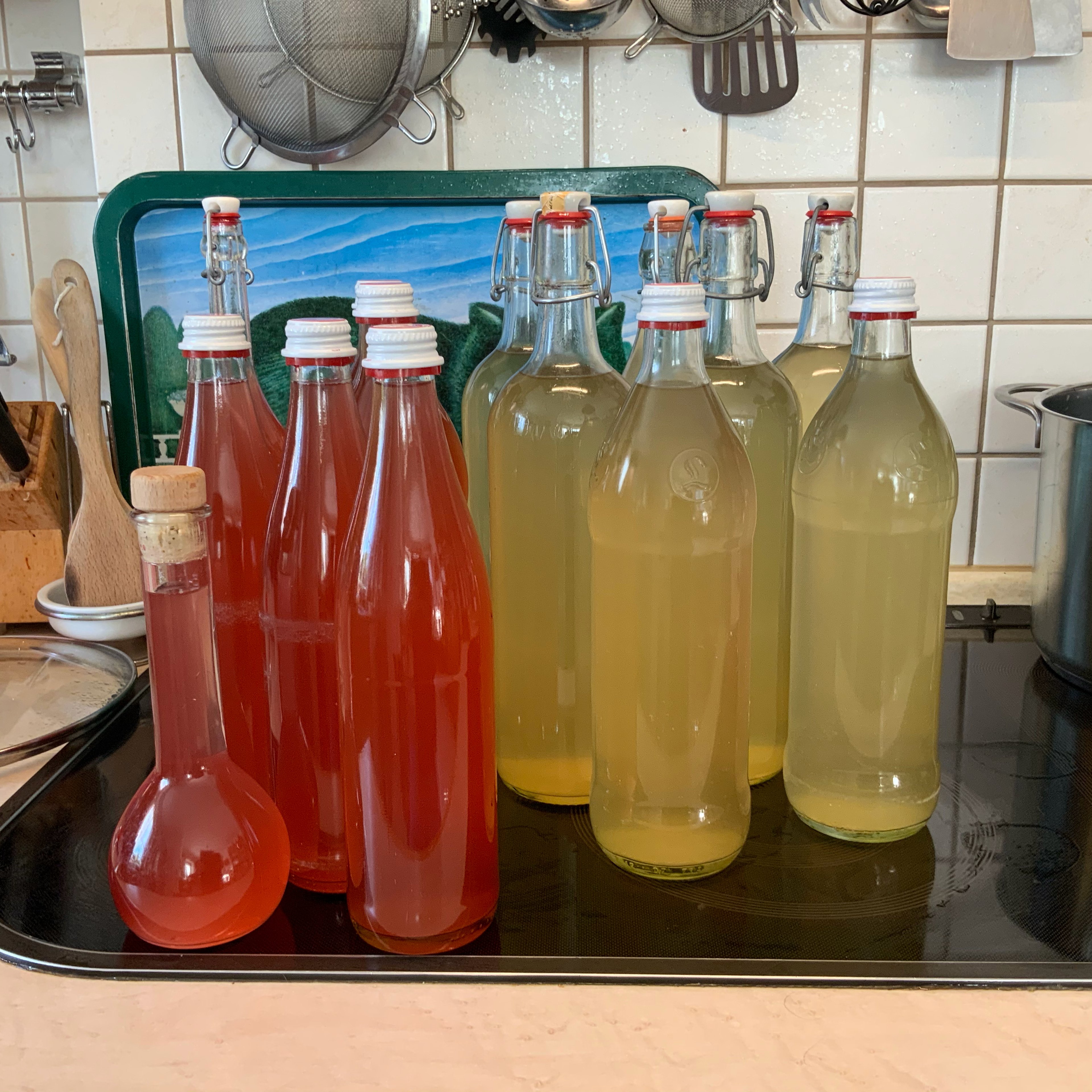 Summery elderflower and rhubarb soda