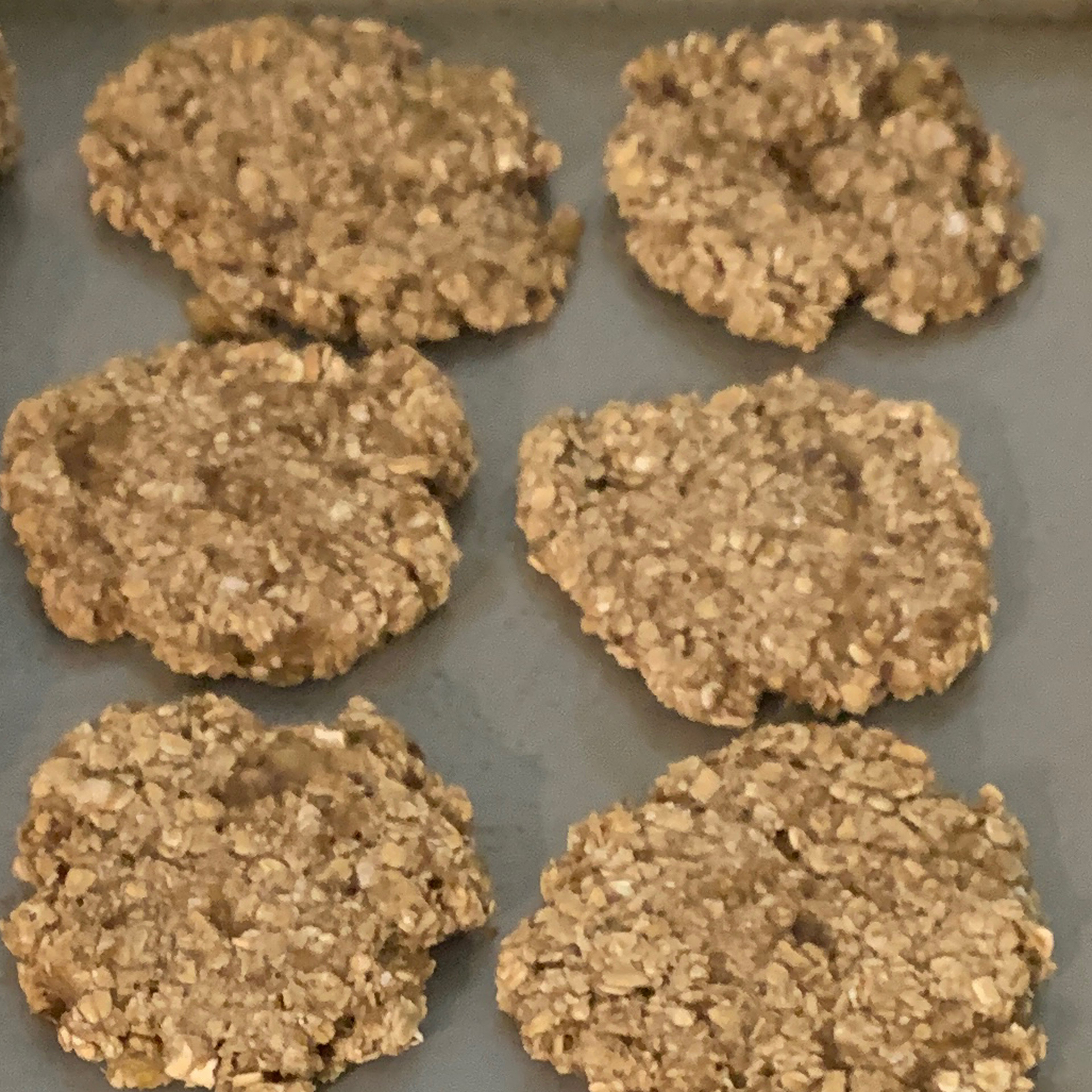 2 Ingredient Banana Oat Cookies