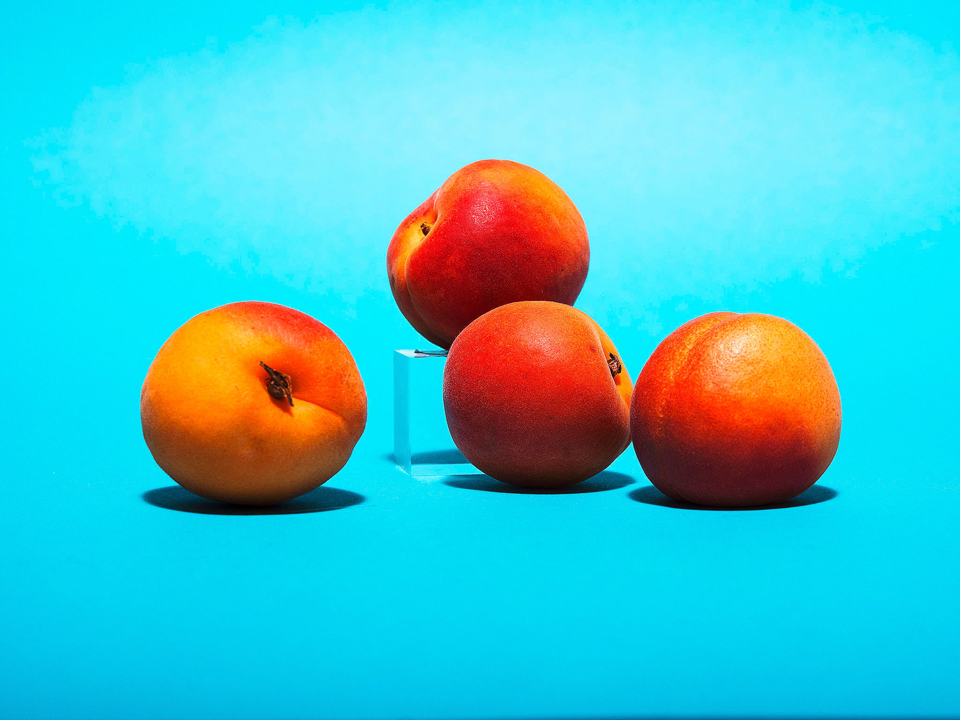 Everything to Know About Cooking and Shopping for In Season Apricots