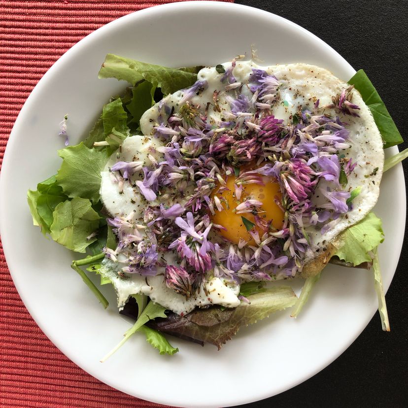 Ei mit Salat und Gartenblumen auf 2 Arten