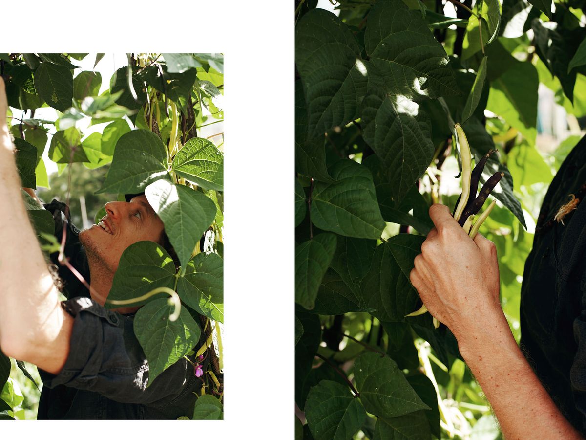 Munich's Best GardentoPlate Recipes Stories Kitchen Stories