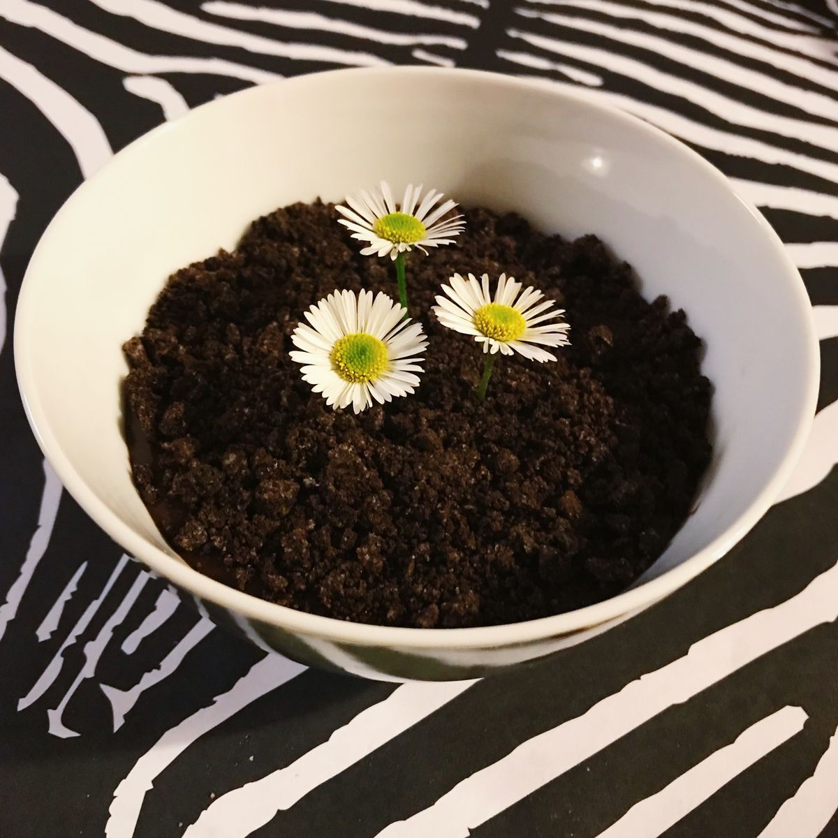 Easy chocolate pudding | Recipe | Kitchen Stories