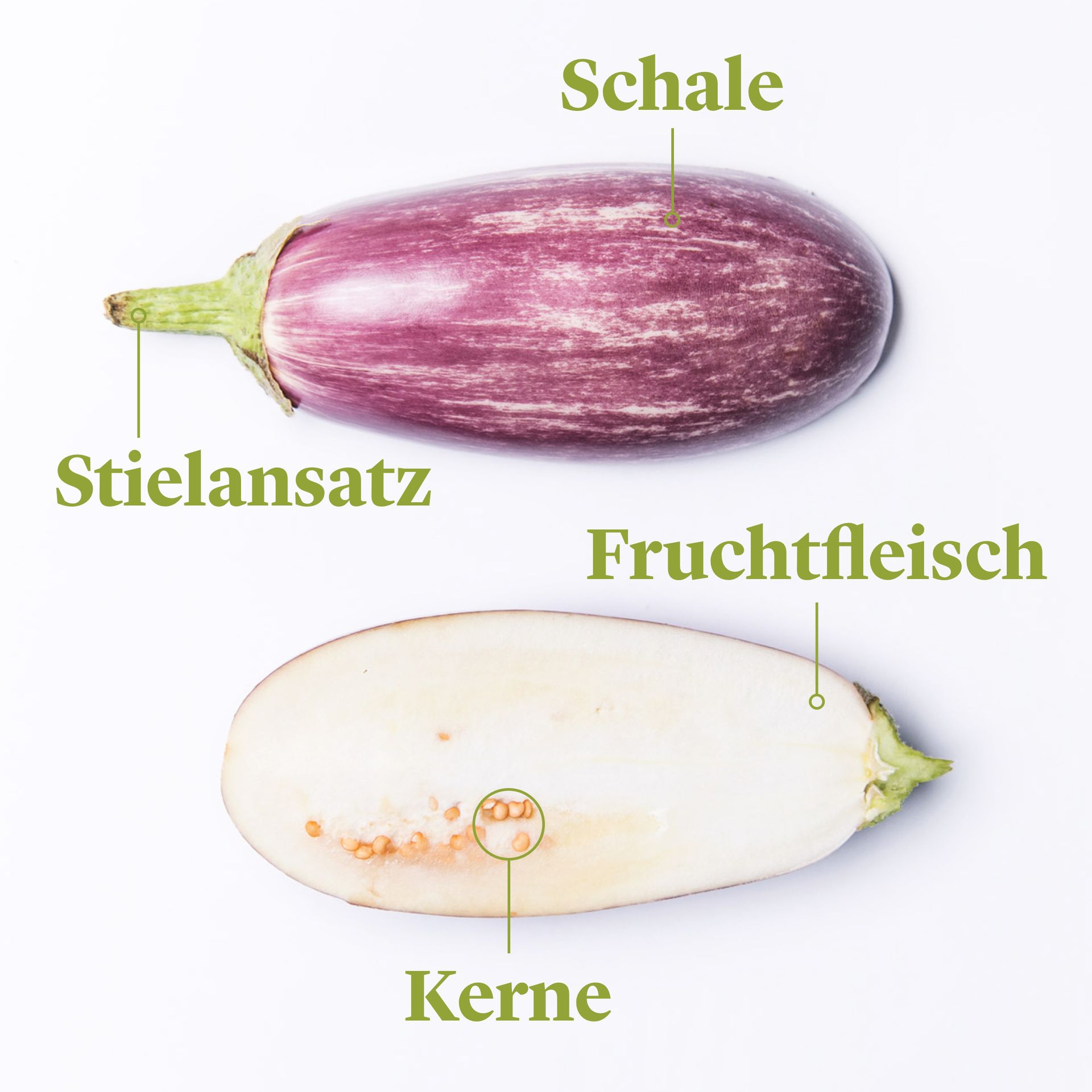 Wie Sieht Eine Aubergine Von Innen Aus Jetzt in Saison: Aubergine richtig kaufen, lagern und zubereiten