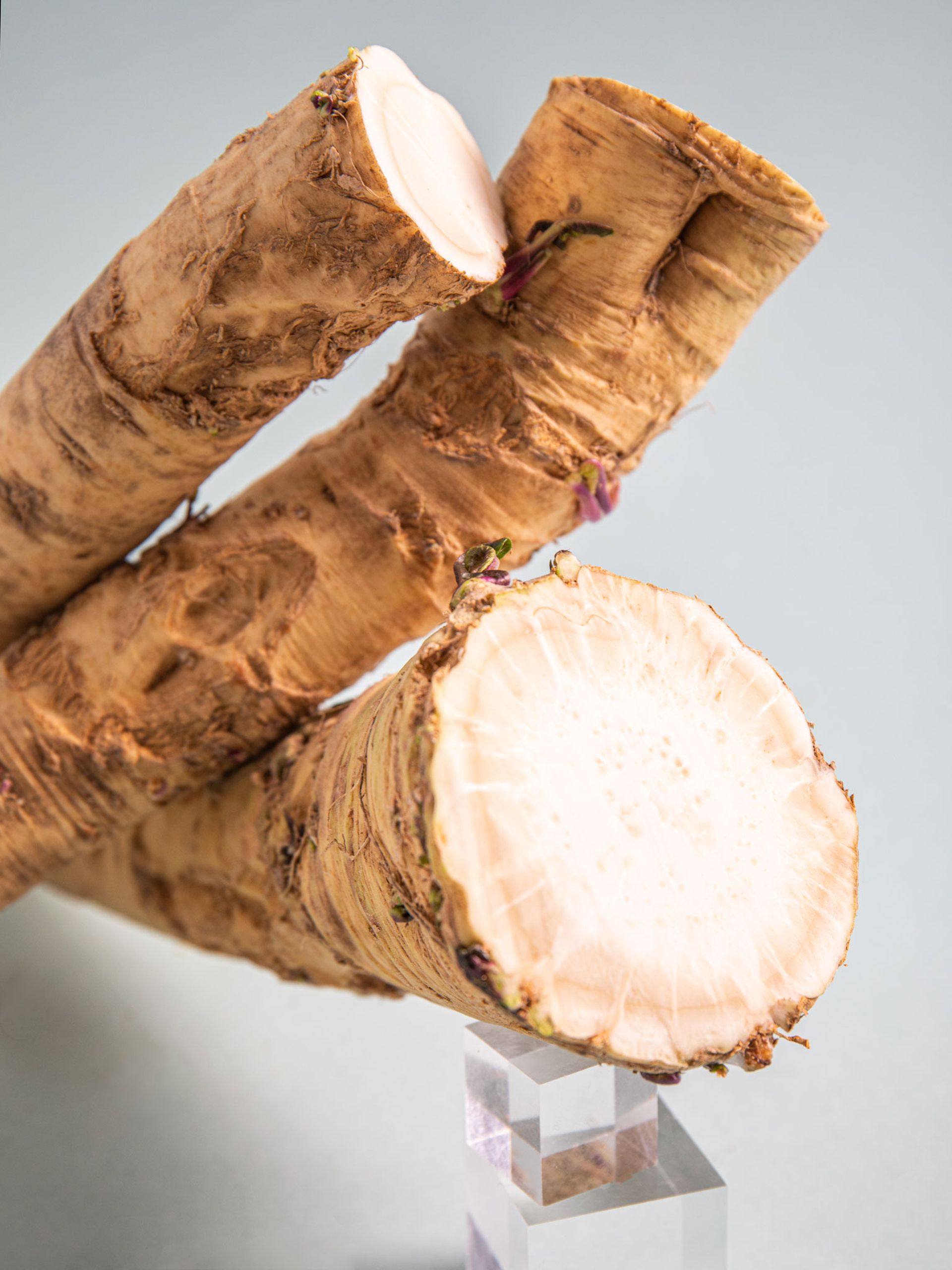 Everything You Need to Know About Shopping for, Storing, and Preparing