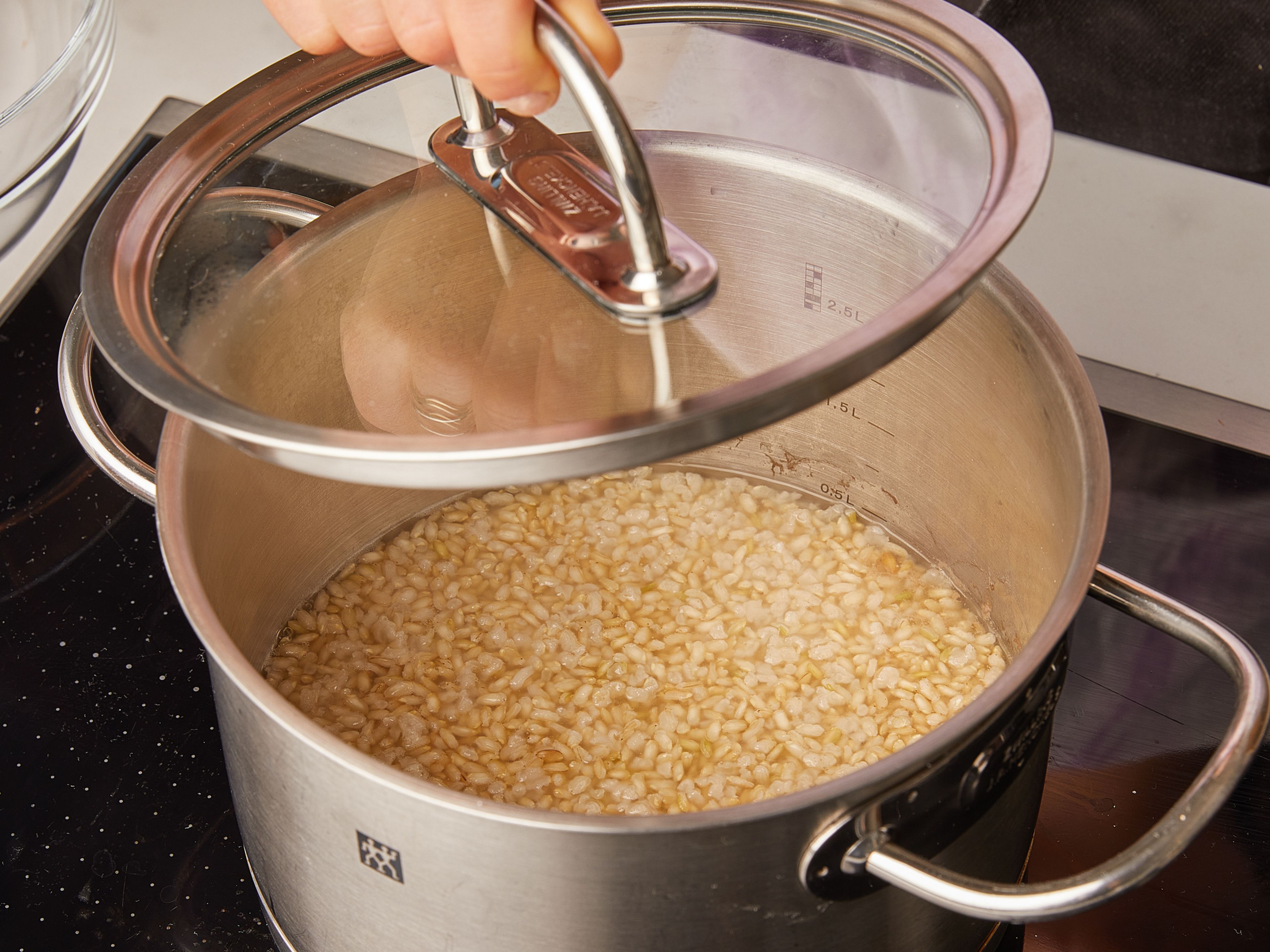 Wasche den Reis und gib ihn in einen Topf. Das Wasser und eine Prise Salz hinzufügen und einmal umrühren. Den Deckel aufsetzen und zum Kochen bringen. Die Hitze reduzieren und den Deckel drauflassen, dann ca. 15 Min. köcheln lassen. Einmal umrühren und die Konsistenz vom Reis prüfen: Wenn er noch leicht ungekocht und körnig ist, ist er fertig.