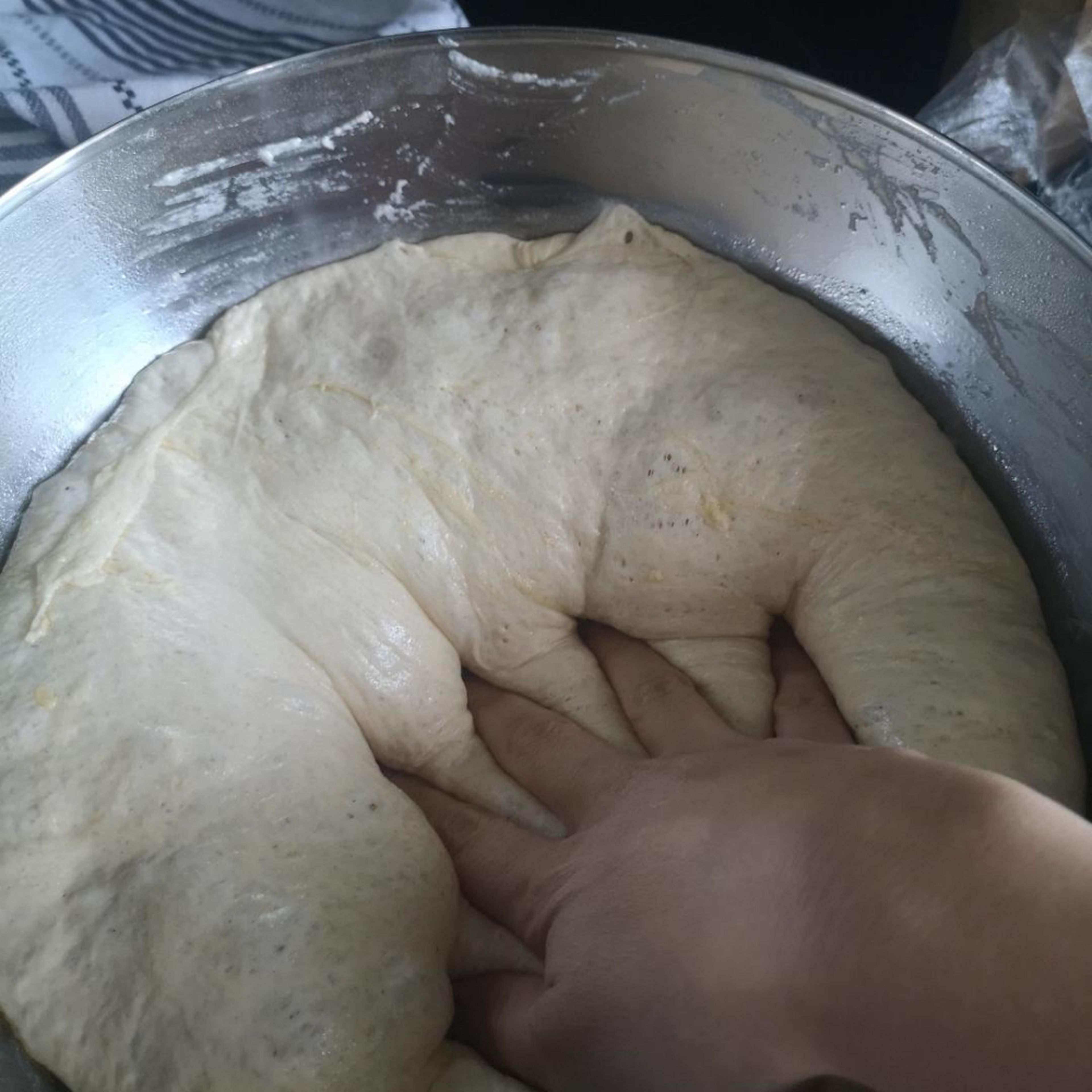 two hours later, your dough should have at least doubled in size, kneed it slightly back into its shape for about 10 to 20 seconds