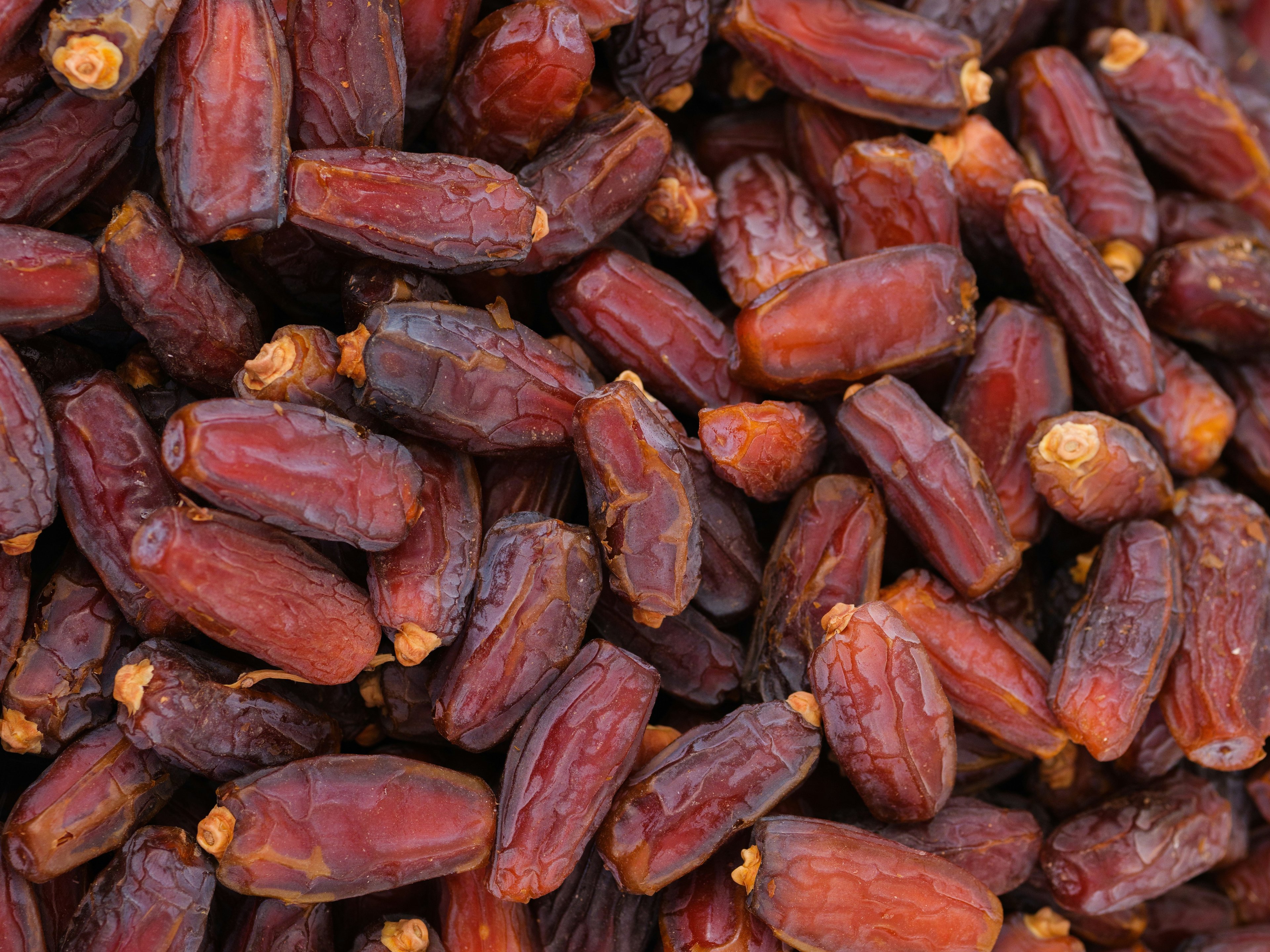 Ramadan 2026 starts: Nutritious Iftar, dates, and healthy fasting