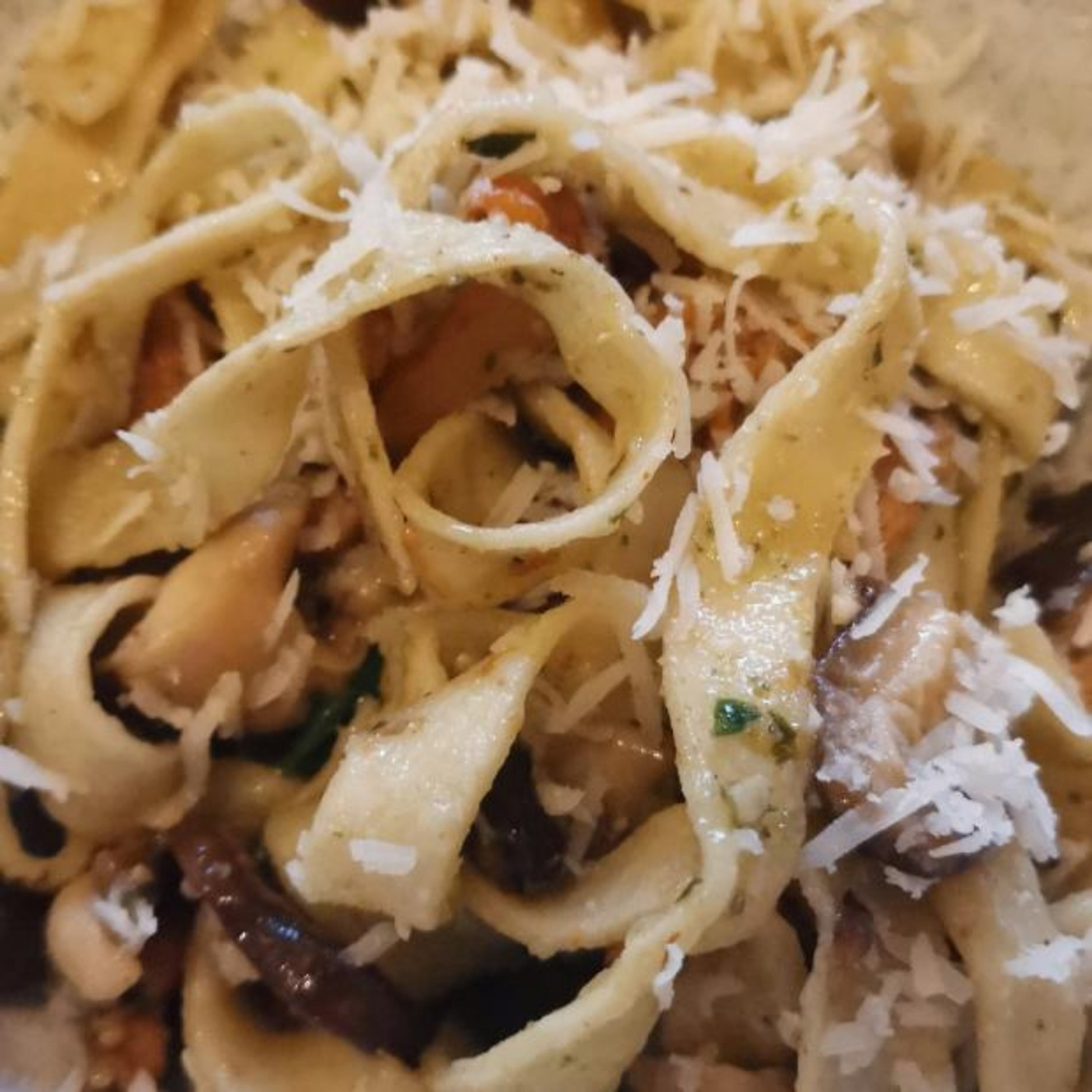 home made mushroom tagliatelle