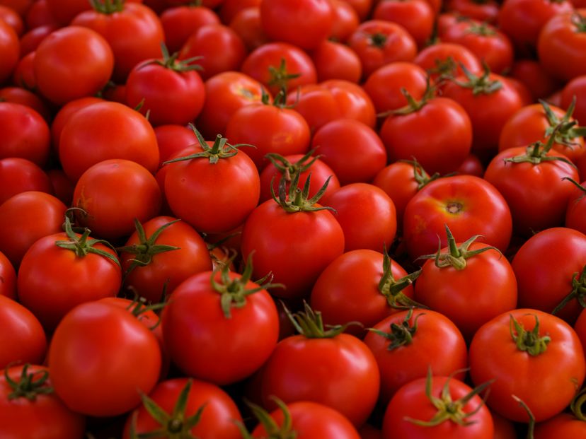 Tomatina-Festival: Warum sich tausende mit Tomaten bewerfen