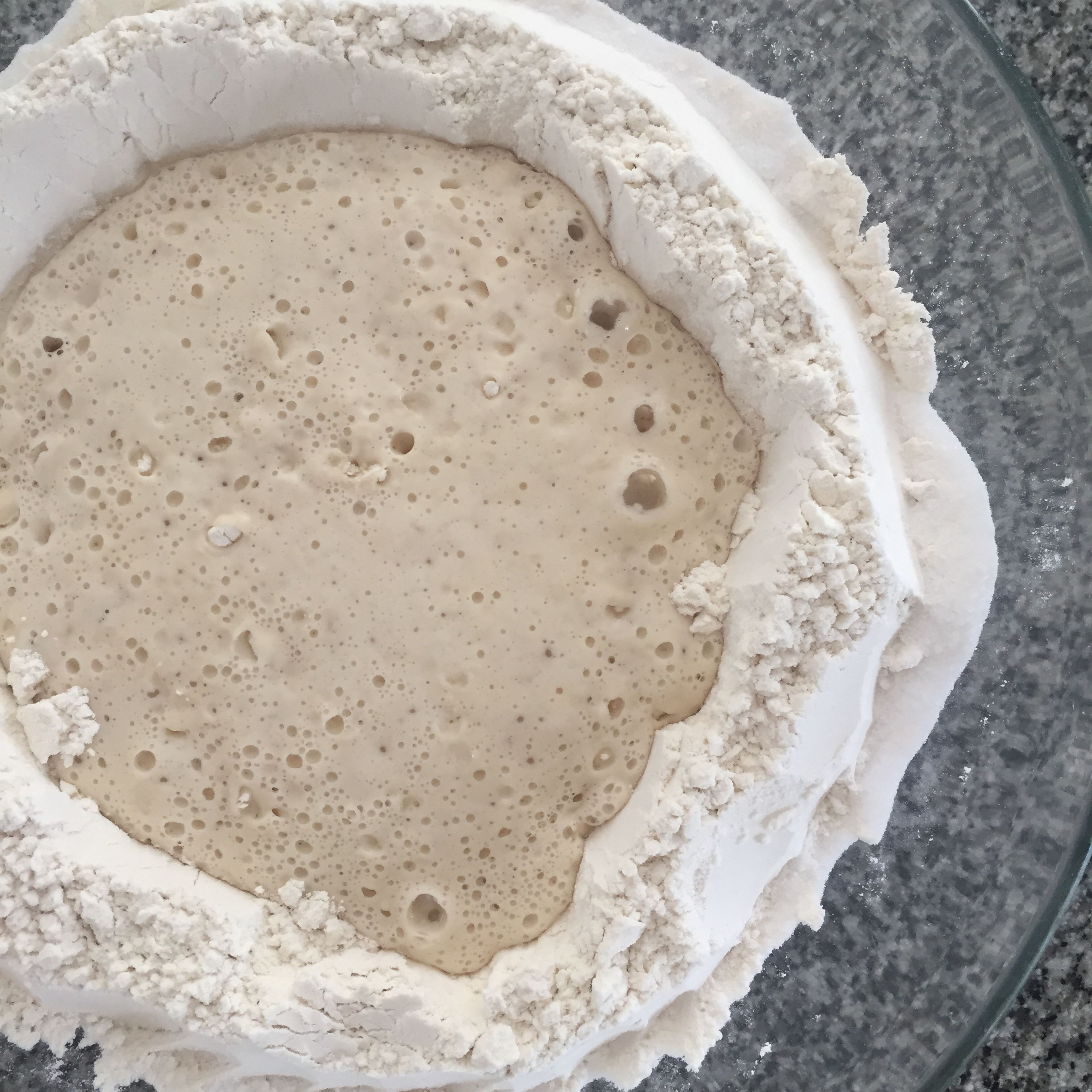 after twenty minutes of blooming, it should look something like this. Add the olive oil and salt (quick note: do NOT pour the salt into the yeast. It will kill it. Form a little border with the flour and pour it there.) Stir, then knead.