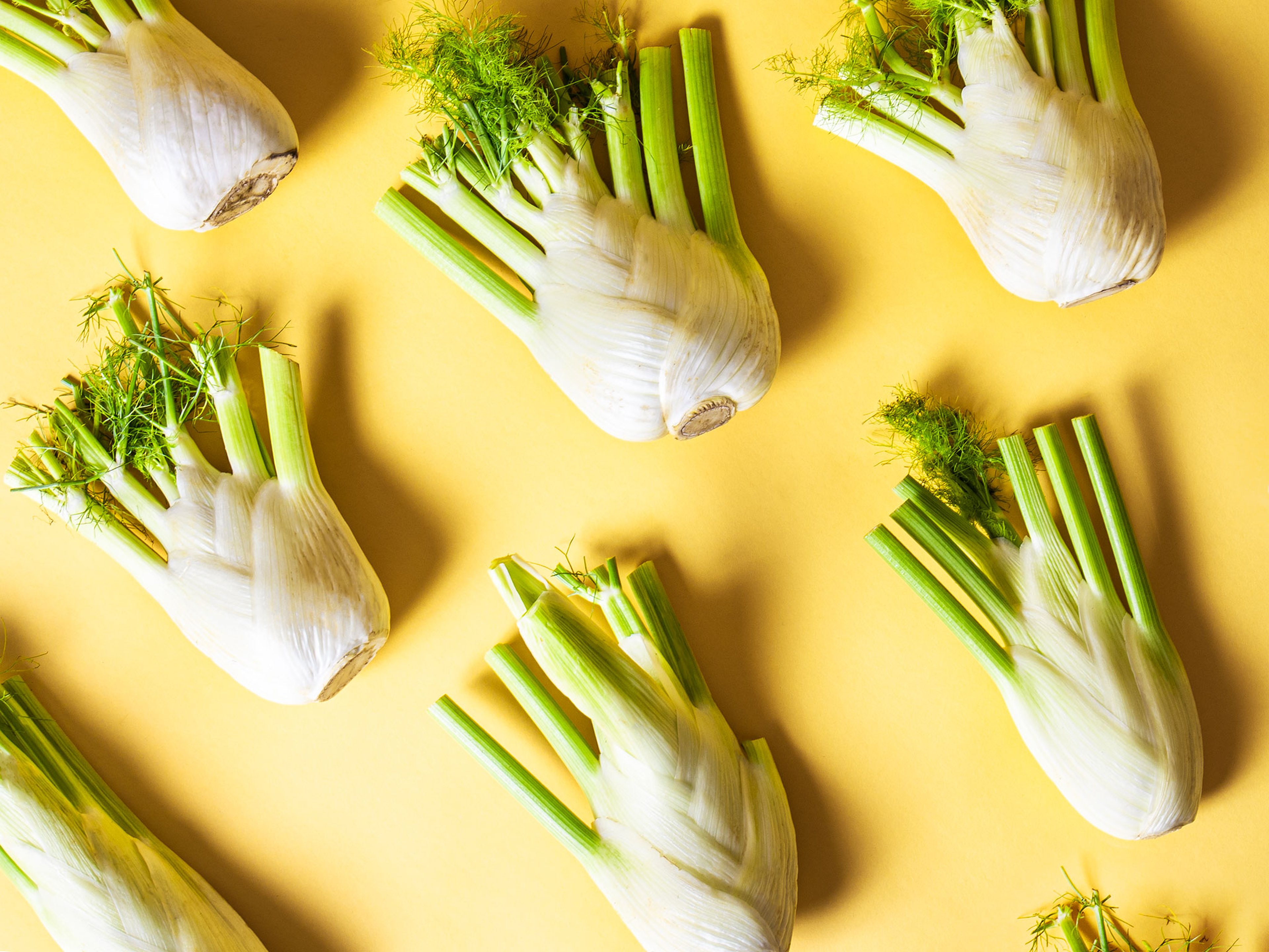 Jetzt in Saison: Fenchel richtig kaufen, lagern und zubereiten