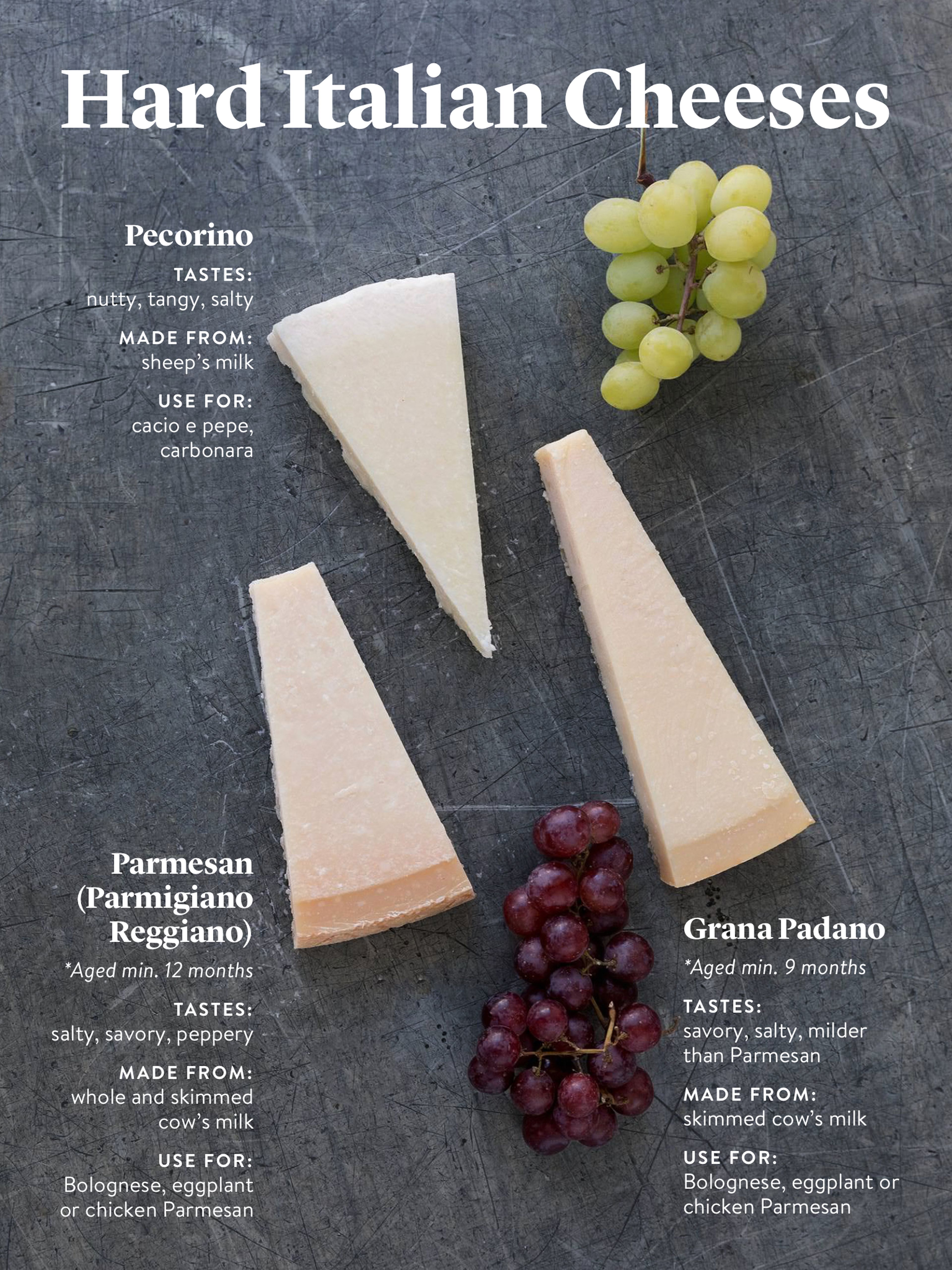 The Many Different Types of Cheese