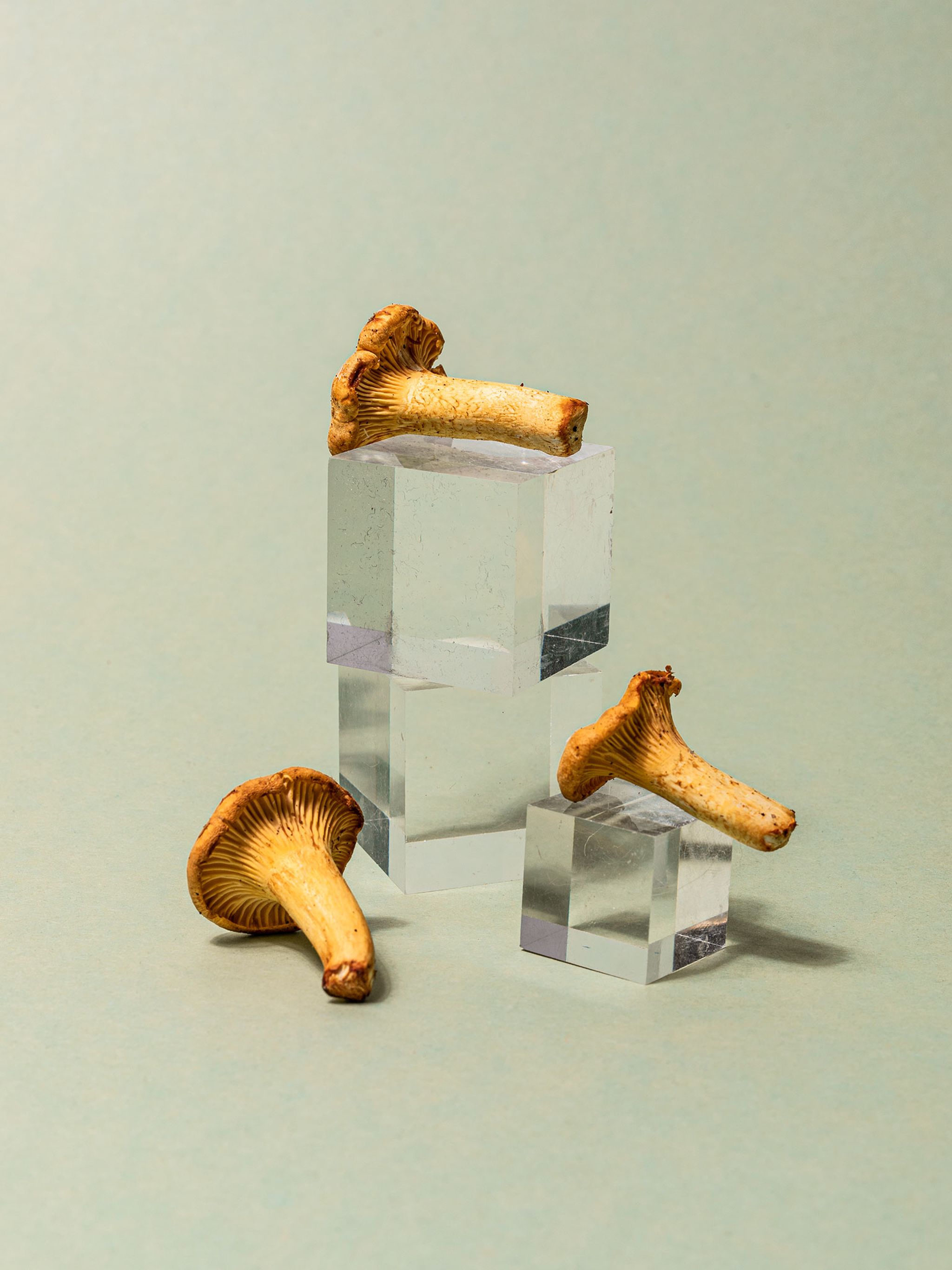 Everything You Need to Know About Shopping for, Storing, and Preparing