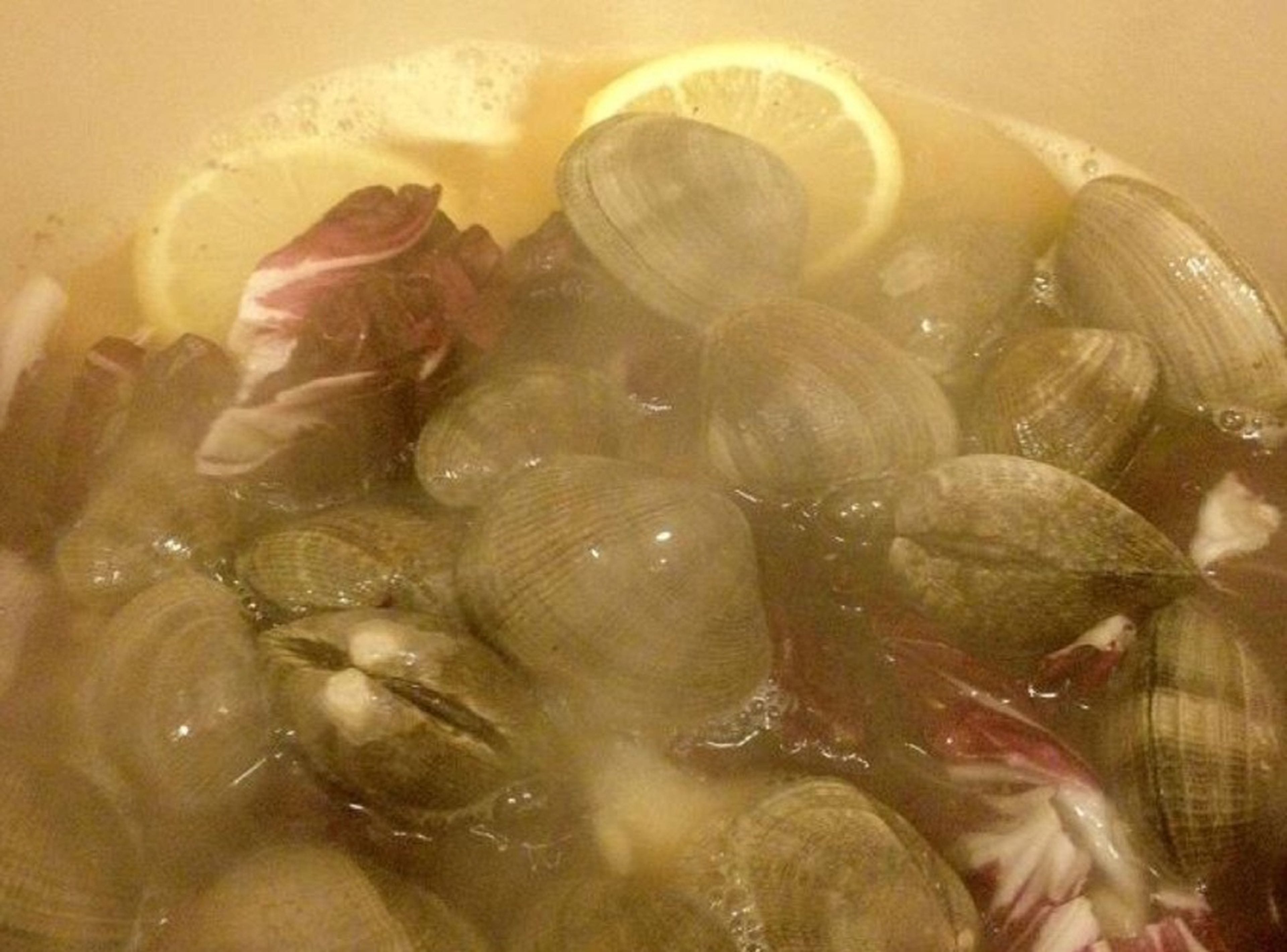 Add the clams and radicchio to the broth. Cook for about 15 min. until the clams open. Discard the clams that did not open.