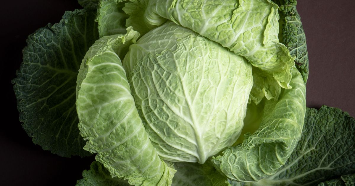 Jetzt in Saison Wirsing richtig kaufen, lagern und zubereiten