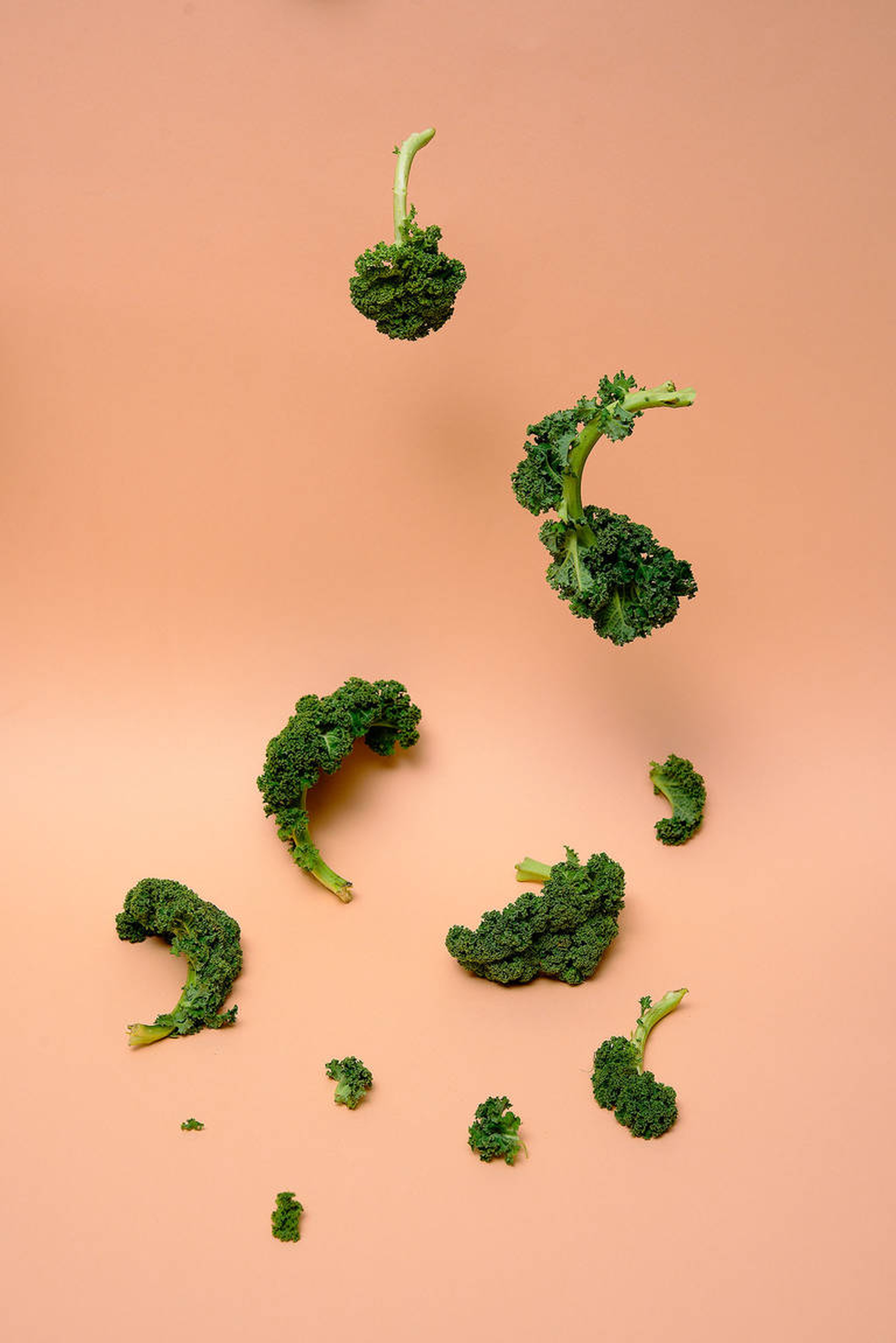 Grünkohl kochen: Rezepte von klassisch bis ausgefallen