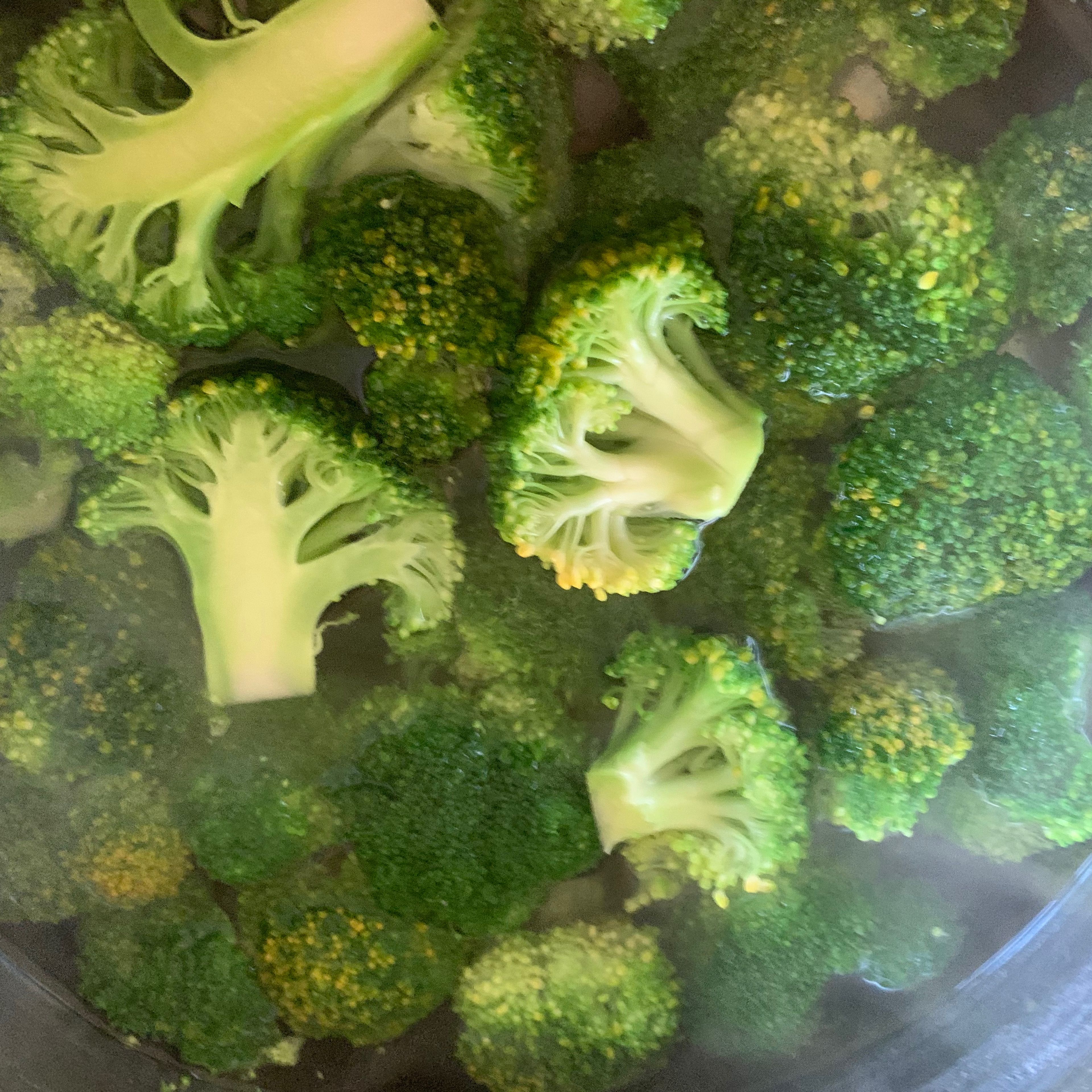 Nun den Brokkoli kurz - ca 1/2 Minute - in kochendes Wasser geben. Mit einem Schaumlöffel wieder herausfischen und abkühlen lassen.