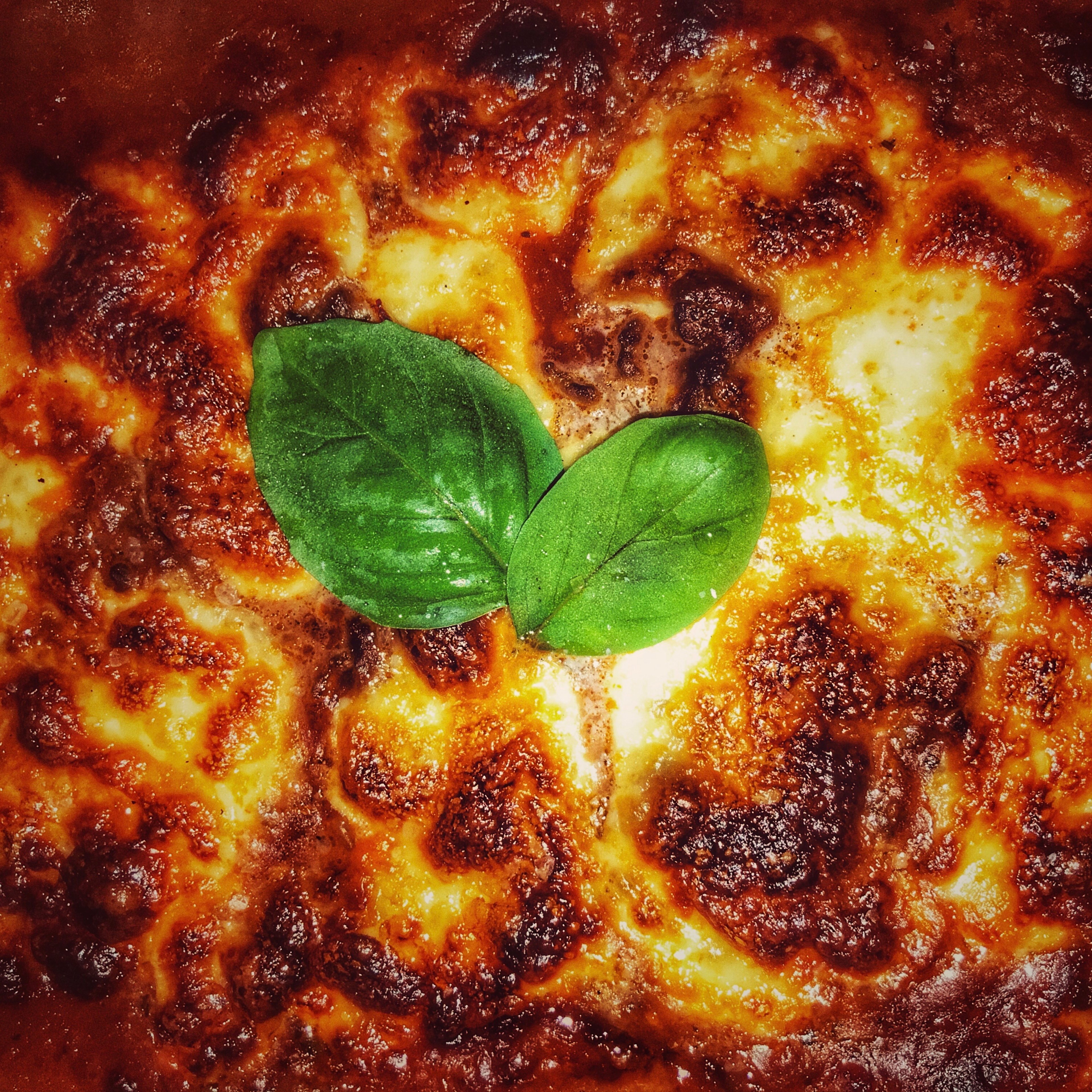 The best Italian lasagna
