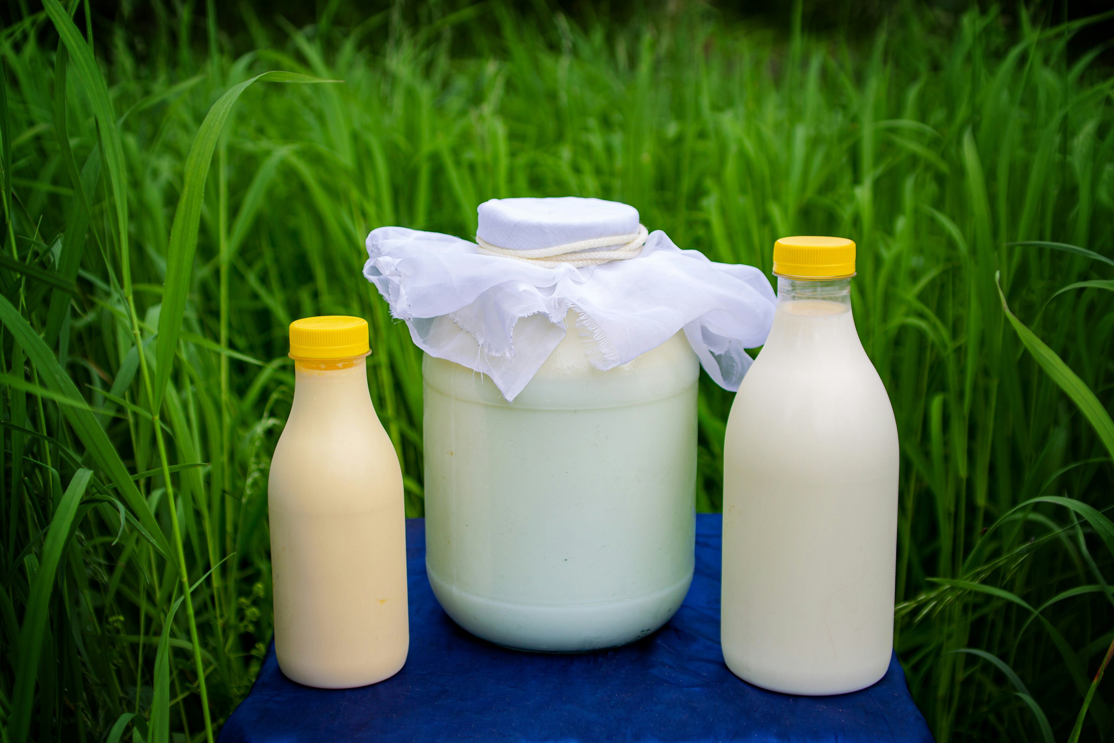Packaging made from milk protein: Edible & biodegradable